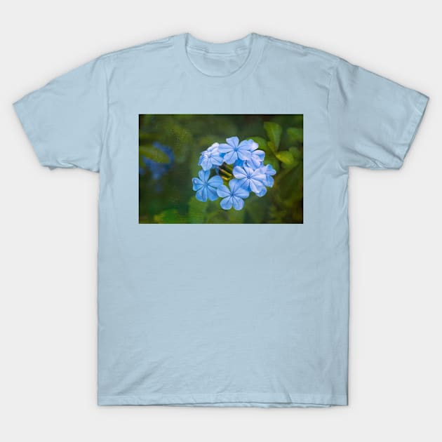 Plumbago Blue T-Shirt by dianecmcac